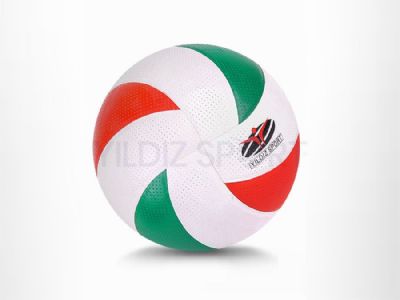 Euro Voleybol Serisi